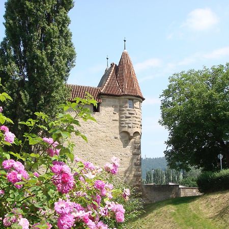 Weingut Gaestehaus Weigand Iphofen Exteriör bild