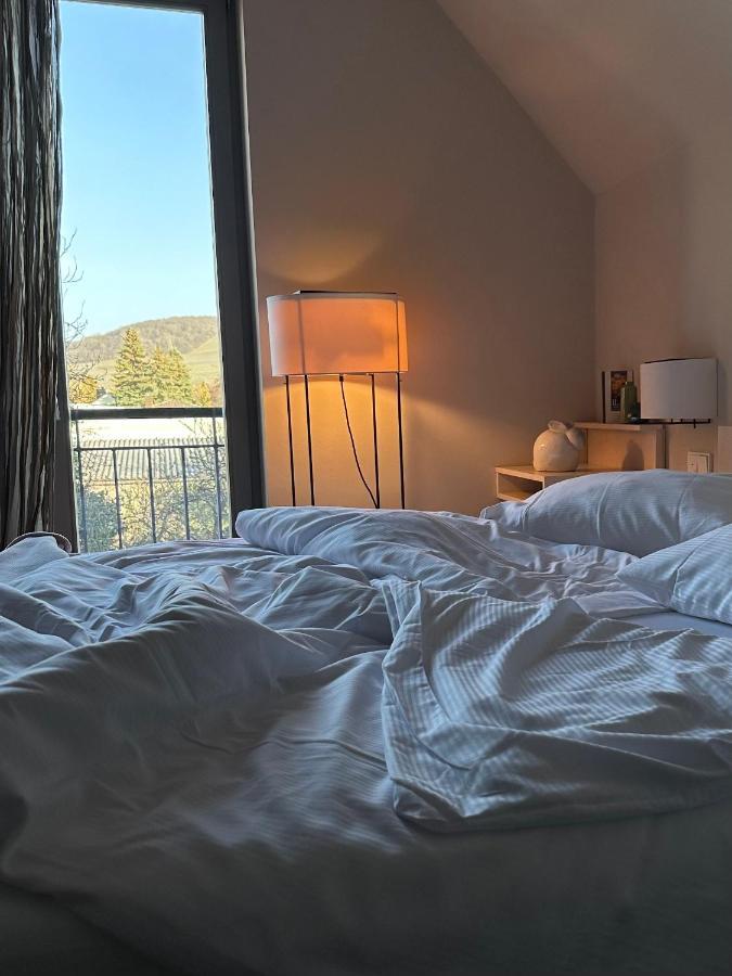 Weingut Gaestehaus Weigand Iphofen Exteriör bild