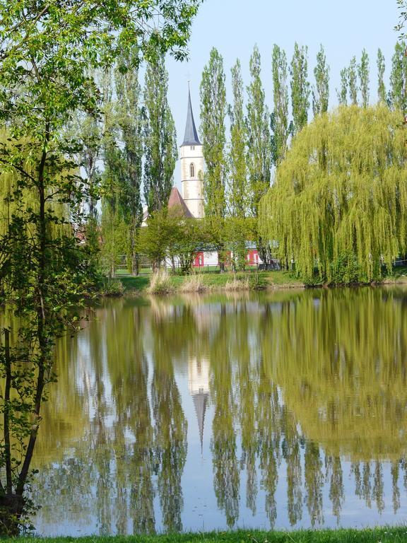 Weingut Gaestehaus Weigand Iphofen Exteriör bild